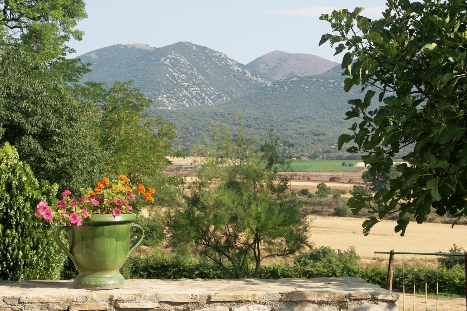 Domaine De Blancardy Hotel Moules-et-Baucels Ngoại thất bức ảnh